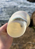 Ocean Whispers Champagne Glass